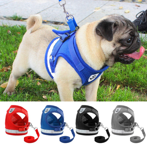 Strong, Breathable Reflective Harness & Leash Sets!