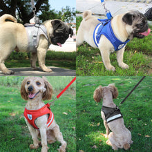 Strong, Breathable Reflective Harness & Leash Sets!