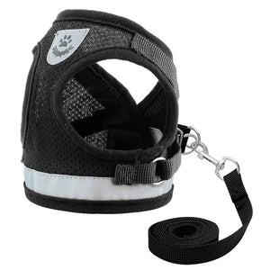 Strong, Breathable Reflective Harness & Leash Sets!