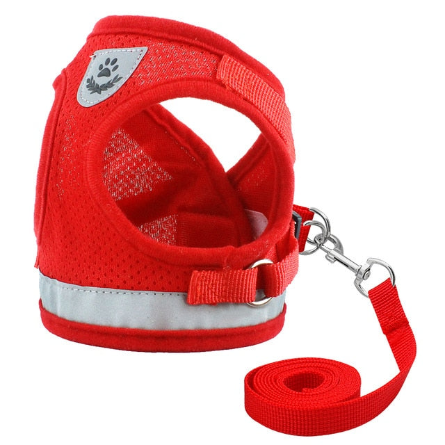 Strong, Breathable Reflective Harness & Leash Sets!