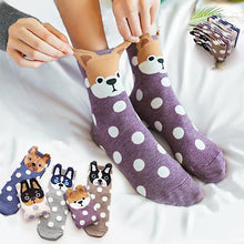 The Cutest Polka Dot Dog Socks!  (5 Colors Available!)