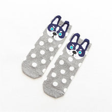 The Cutest Polka Dot Dog Socks!  (5 Colors Available!)