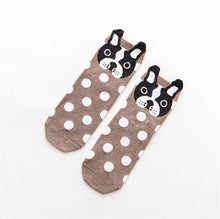 The Cutest Polka Dot Dog Socks!  (5 Colors Available!)