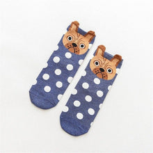 The Cutest Polka Dot Dog Socks!  (5 Colors Available!)