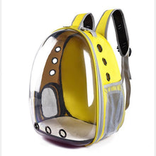 Cat's Transparent Space Capsule Carrier Backpack!  NOW 30% OFF!!