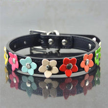 Sweet Spring Flowers Dog Collars!  -->>NOW 15% OFF!