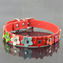 Sweet Spring Flowers Dog Collars!  -->>NOW 15% OFF!