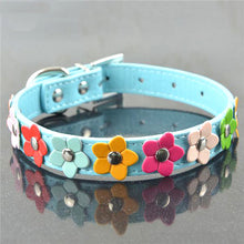 Sweet Spring Flowers Dog Collars!  -->>NOW 15% OFF!