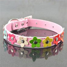 Sweet Spring Flowers Dog Collars!  -->>NOW 15% OFF!