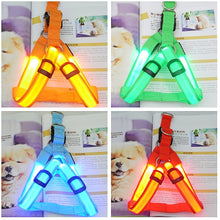 Neon Illuminating Bright Dog Safety Harness!  Rechargeable - 3 Modes!