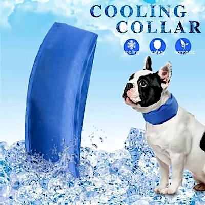 Pet Cooling Collar! NOW -->> 50% OFF!